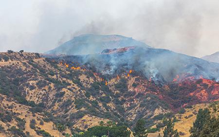 Wildfire burning on mountain